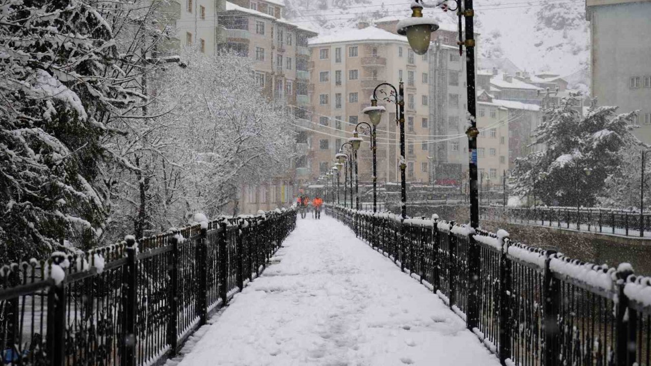Gümüşhane’de mevsim bir gecede bahardan kışa döndü