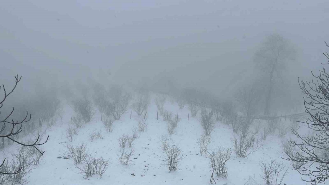 Mart kapıdan baktırdı, kazma kürek yaktırdı