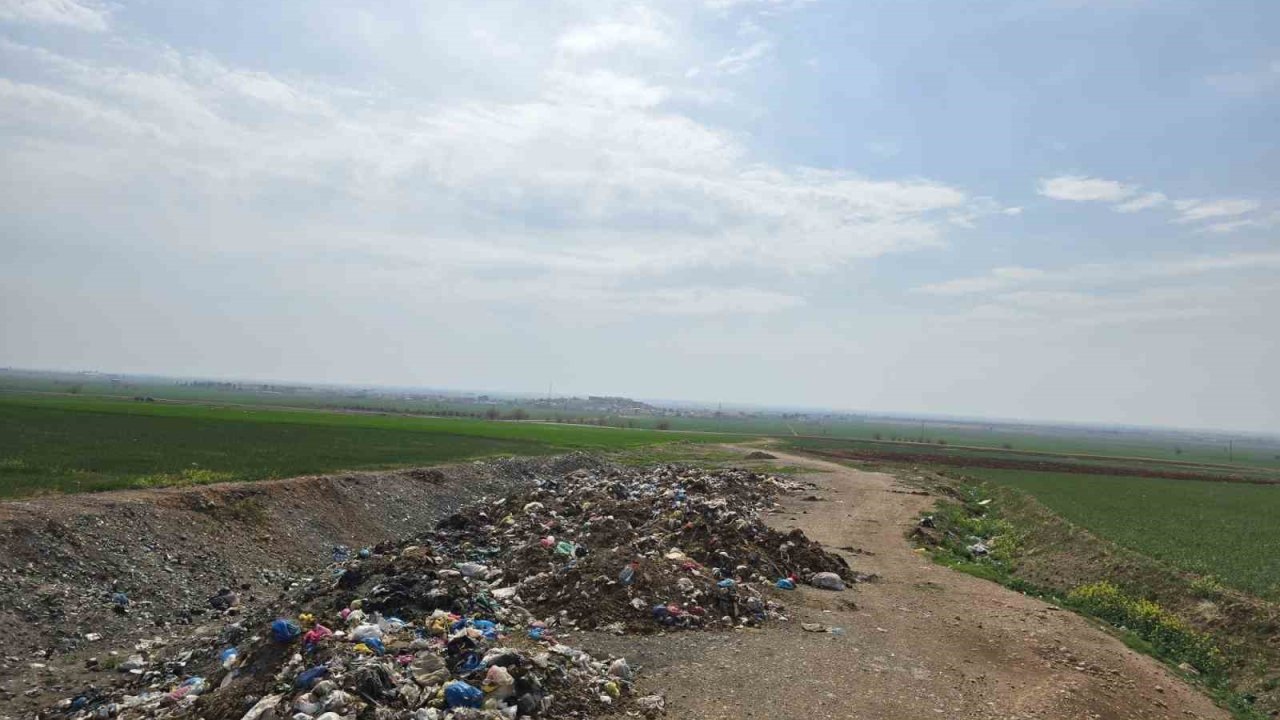 Mardin Büyükşehir Belediyesi, DEM Partili Nusaybin Belediyesinin yapmadığı çöp temizliğini gerçekleştirdi