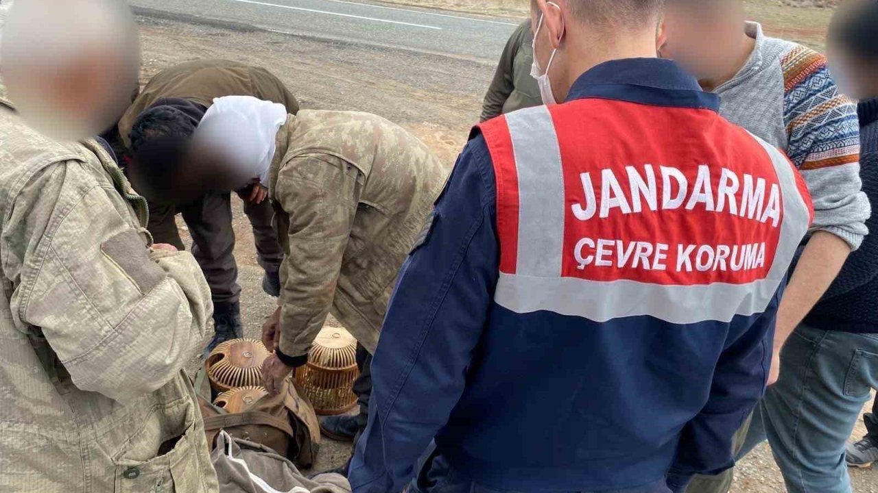 Kars’ta jandarma kaçak avcılara göz açtırmıyor