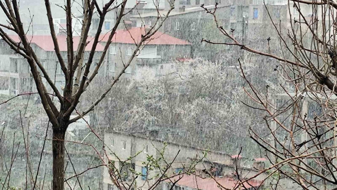 Hakkari’de Nisan ayında kar yağışı etkili oldu