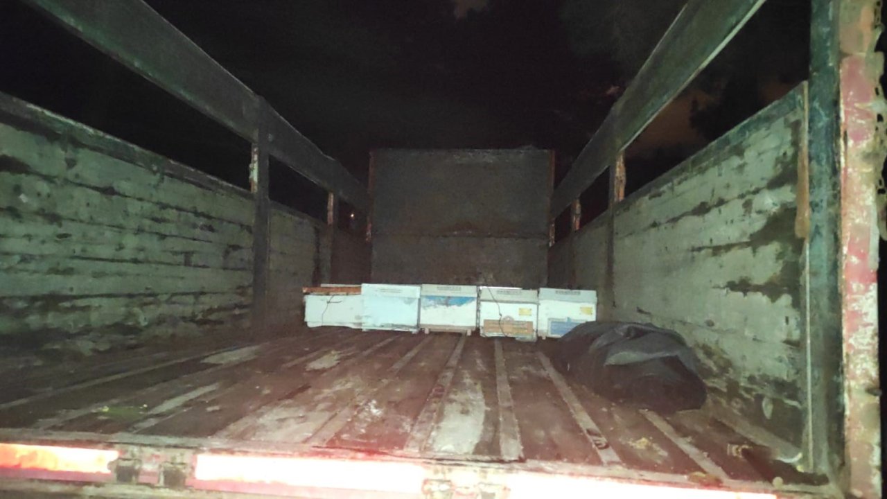 Arı kovanı hırsızları suçüstü yakalandı