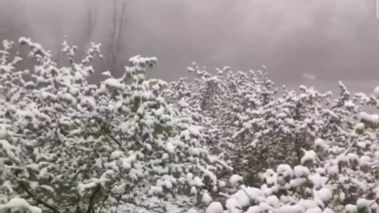 Zonguldak’ta Nisan ayında kar sürprizi