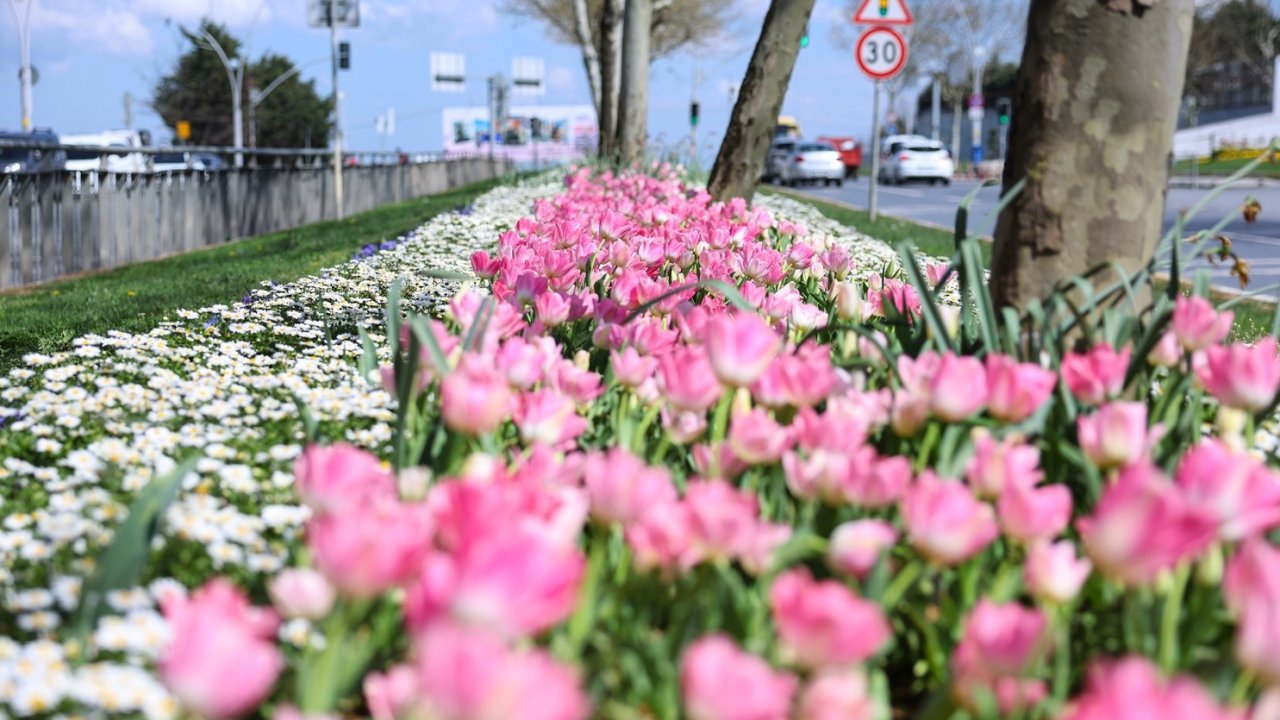 Sultangazi’nin cadde ve sokaklarına bahar geldi