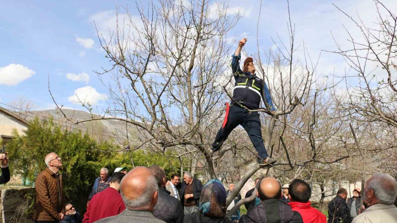 Erzincan’da budama kursuna yoğun ilgi