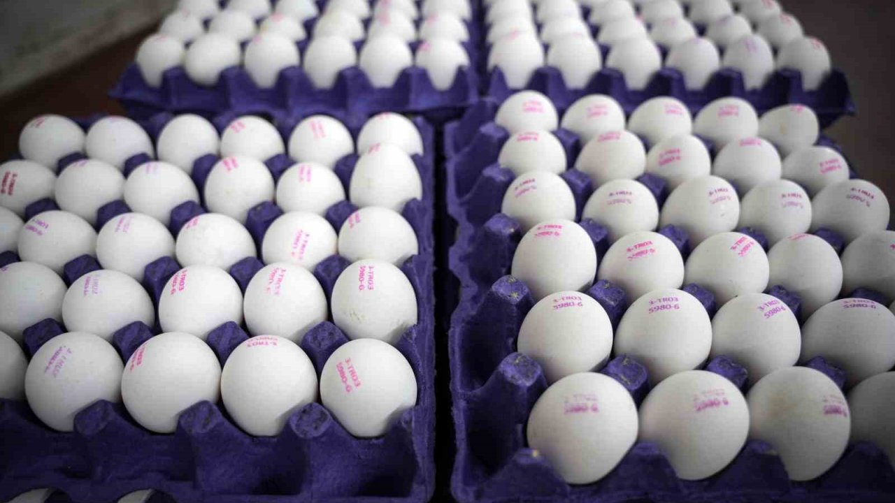 "Tüm Türkiye’ye yetecek kadar yumurtamız var"