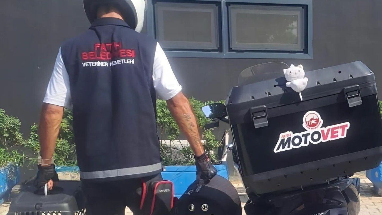 Fatih Belediyesi’nden doğaya can: Motovet ekibi yaralı kanatlıları hayata kazandırıyor