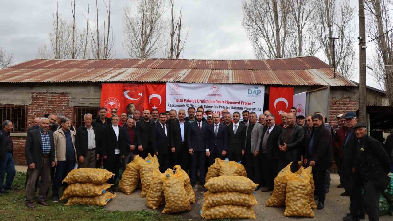 Çiftçilere hibe patates tohumu desteği