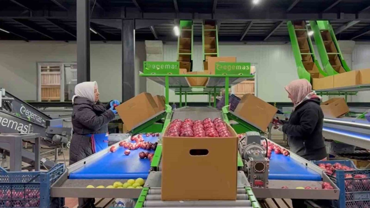 Eğirdir’de elma bahçelerine organik dokunuş, kimyasal yerine hümik asit projesi hayata geçiyor