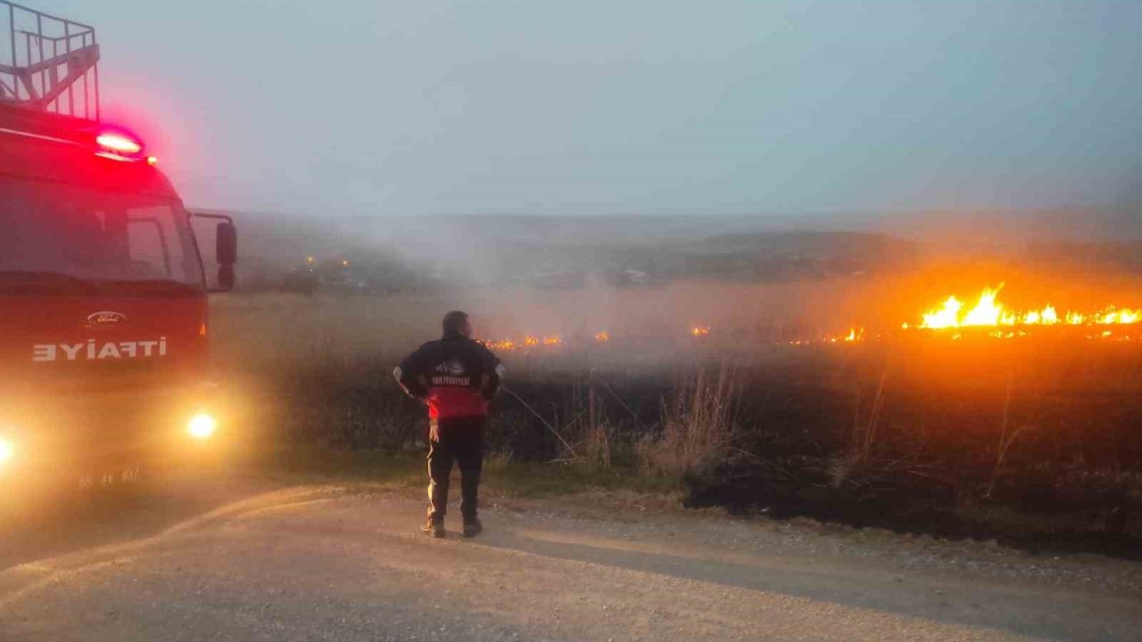 Van’da sazlık alanda yangın