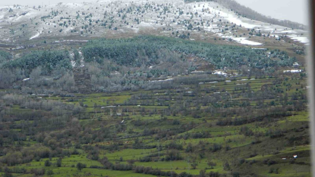 Posof’ta bahar ile gelen kar