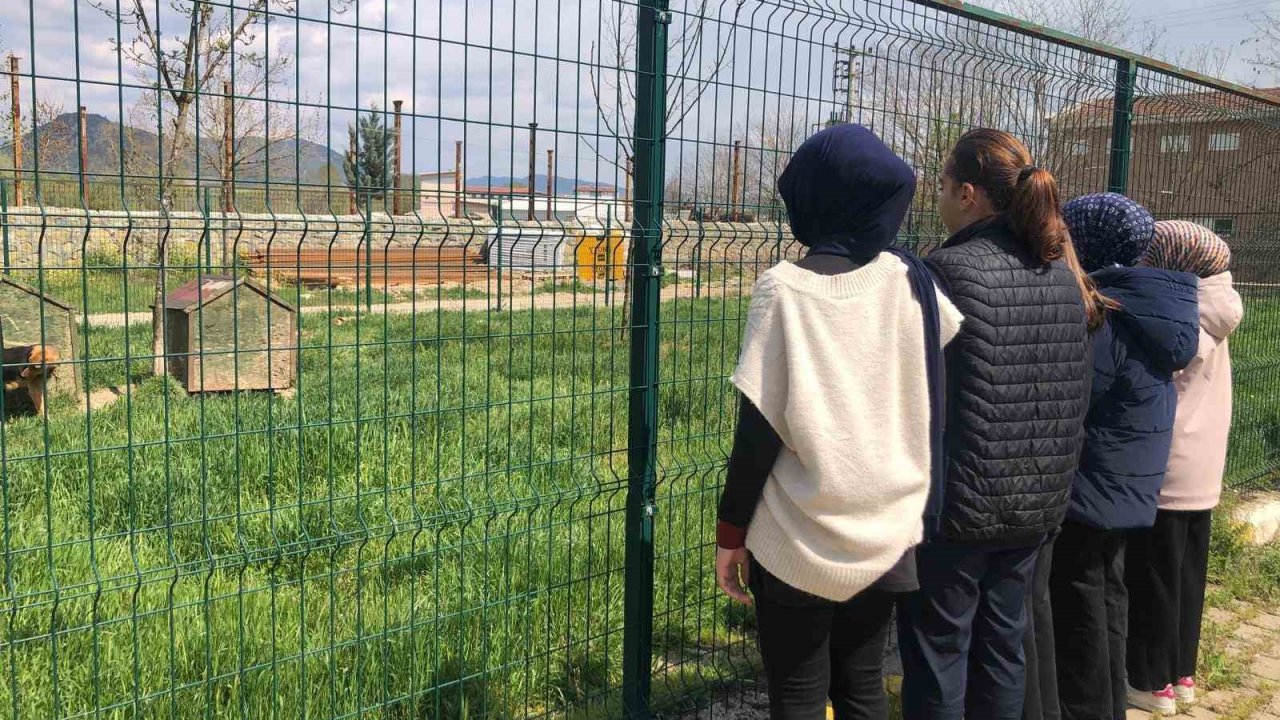 İmam hatip öğrencileri E-twinning projesi kapsamında hayvan barınağını ziyaret etti