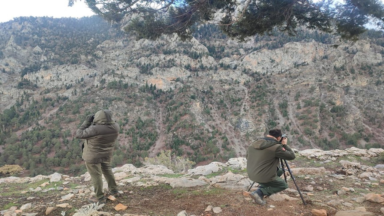 Antalya’da kaçak avlanan 3 kişiye yasal işlem uygulandı