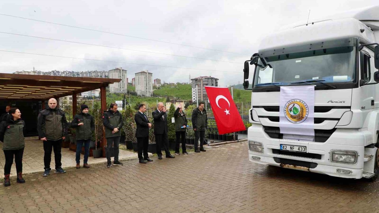 Ordu’dan Azerbaycan’a 3 tır orman fidanı gönderildi