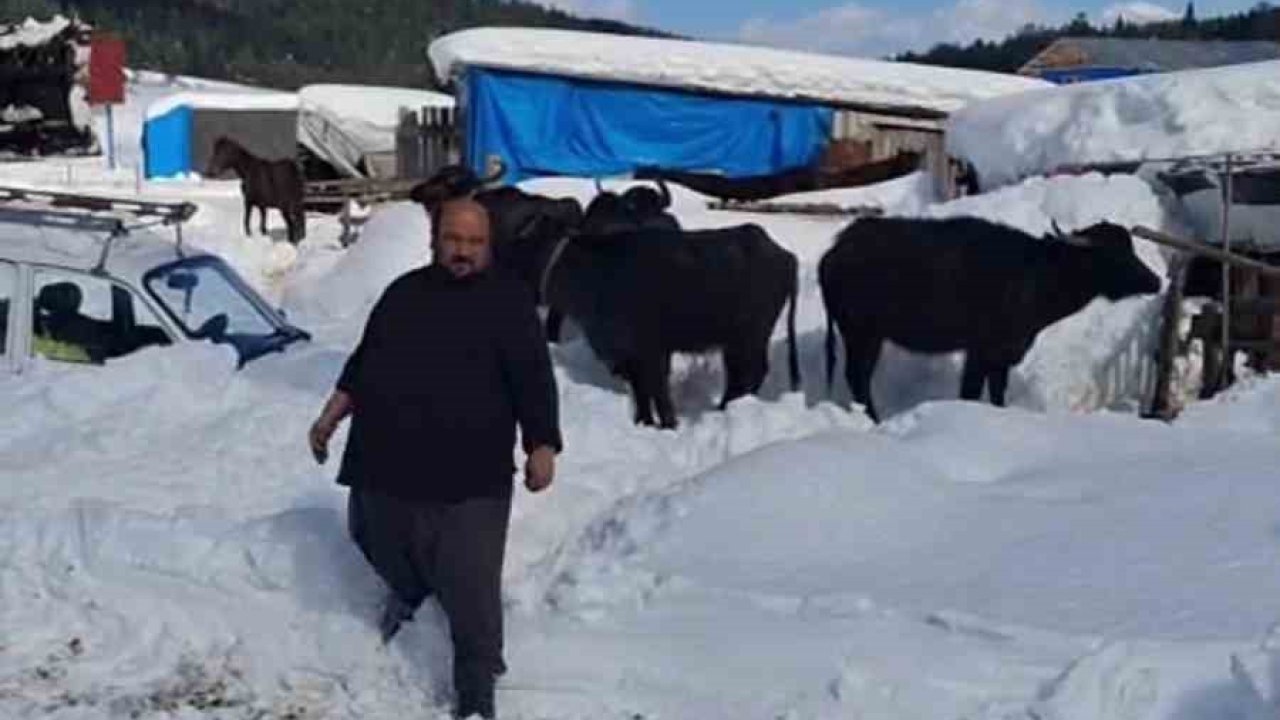 Yaylada hayvanlarıyla mahsur kalan vatandaş kurtarıldı