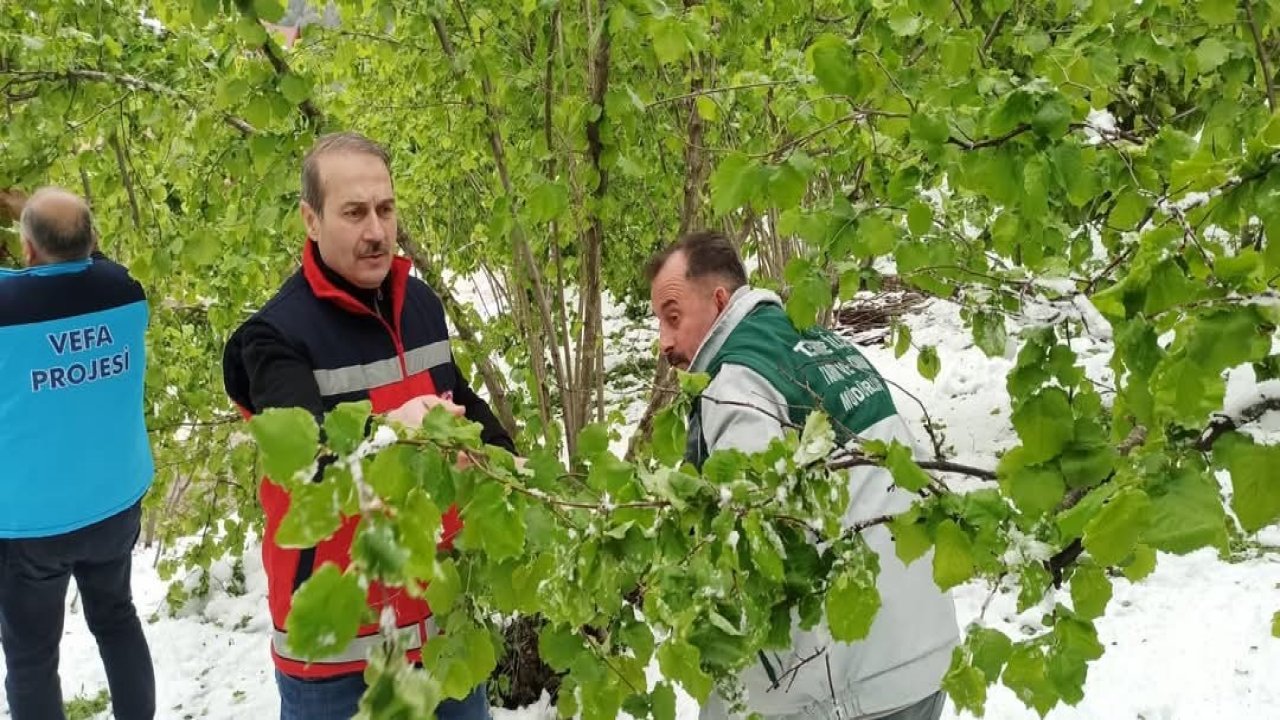 Terme’de hasar tespiti çalışmaları başladı