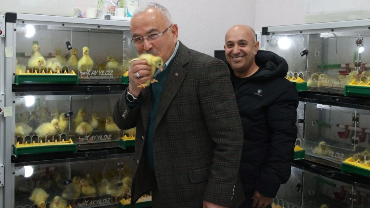 Başkan Güler: "Kaz kuluçkahanesinde yıllık 10 bin civciv üretimi yapmayı hedefliyoruz"
