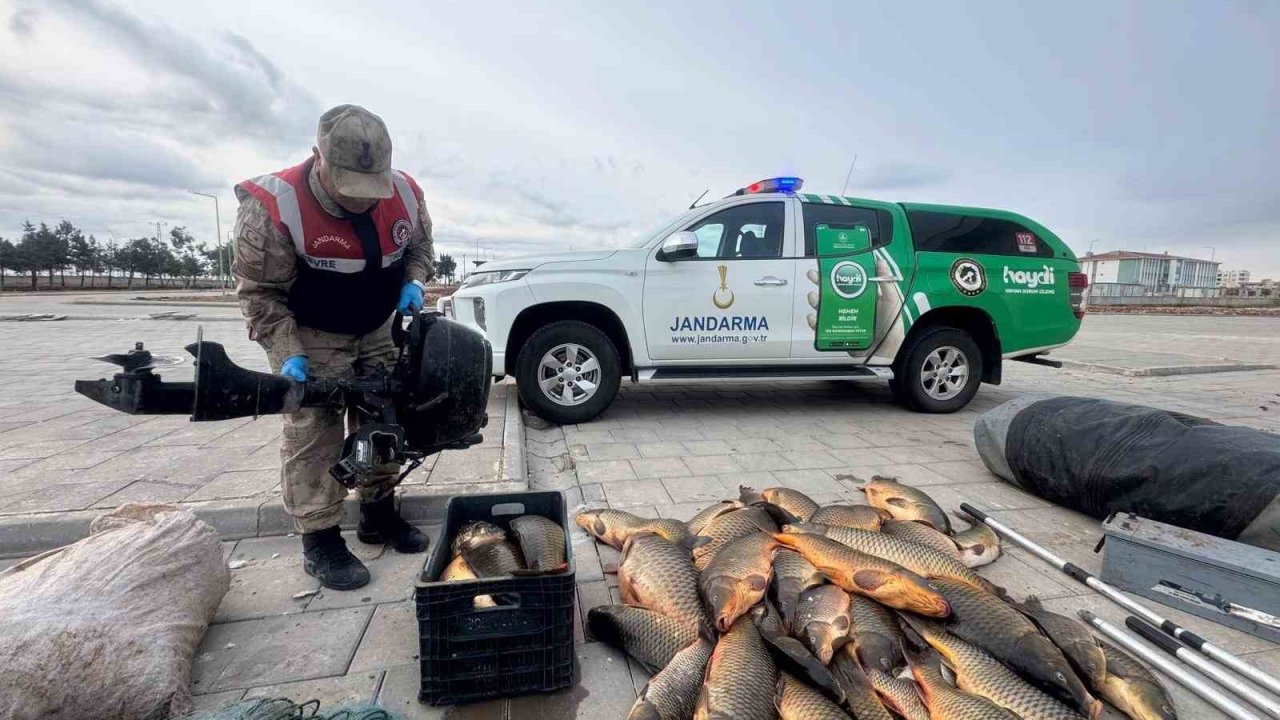Kaçak balık avlayan şahsa 221 bin lira ceza