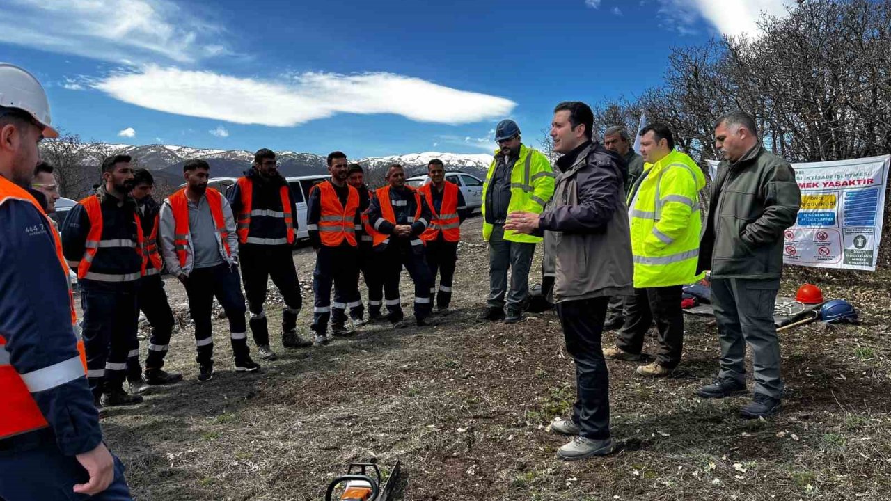 Ağaç budama çalışmaları güvenlik ve süreklilik için özenle yürütülüyor