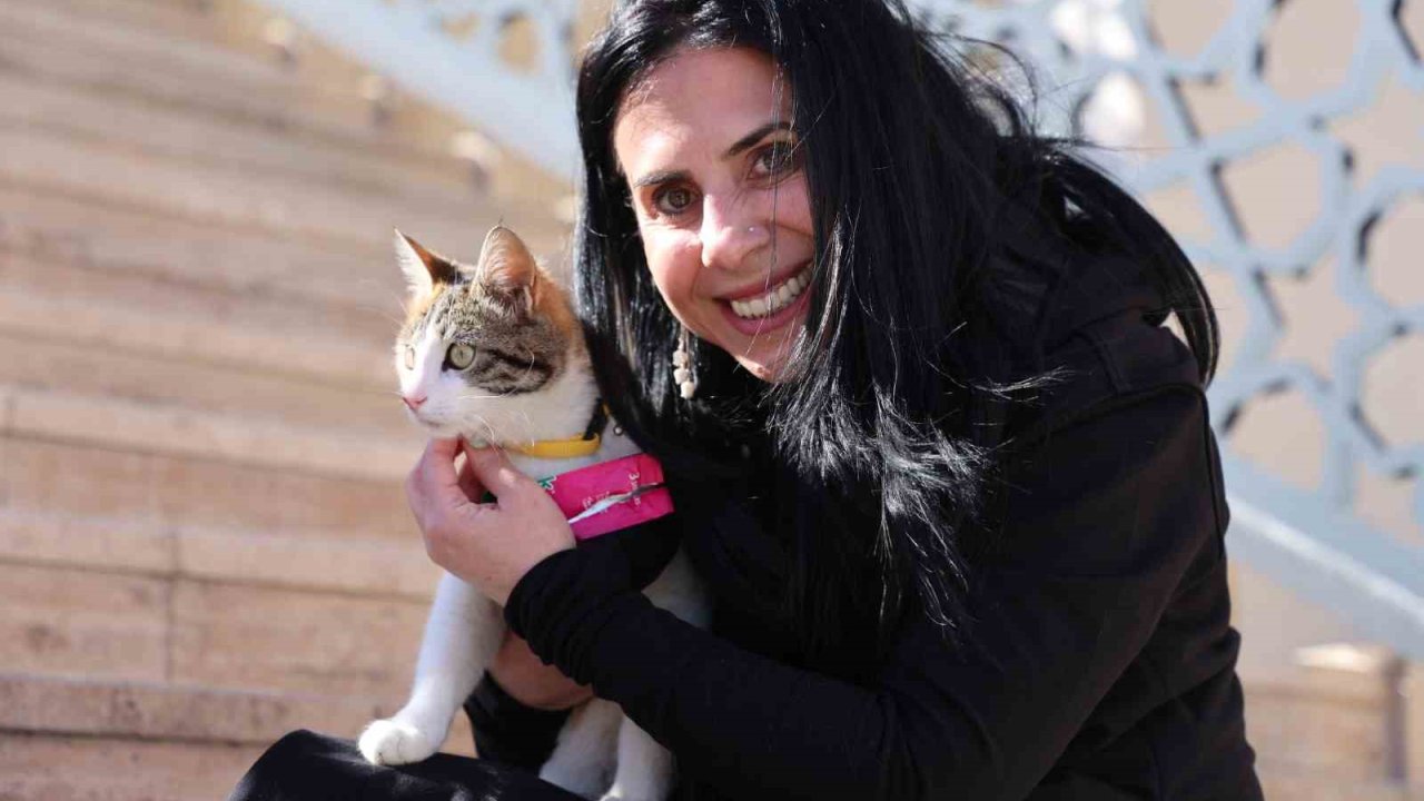 Böyle bağ görülmedi: Etkinlikte tanıştığı kediyi almak için 2 bin 500 kilometre yol kat etti