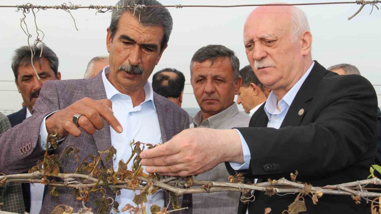 TZOB Genel Başkanı Bayraktar, Manisa’da don afeti sonrası bağlarda incelemelerde bulundu