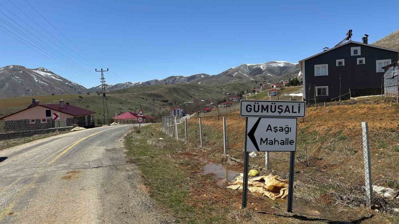 72 yaşındaki adamın ölümüne neden olan köpekler sahipli çıktı