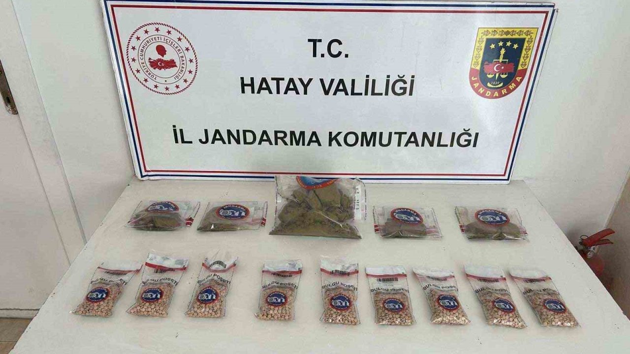 Ağaçın altından uyuşturucu hap ve esrar çıktı