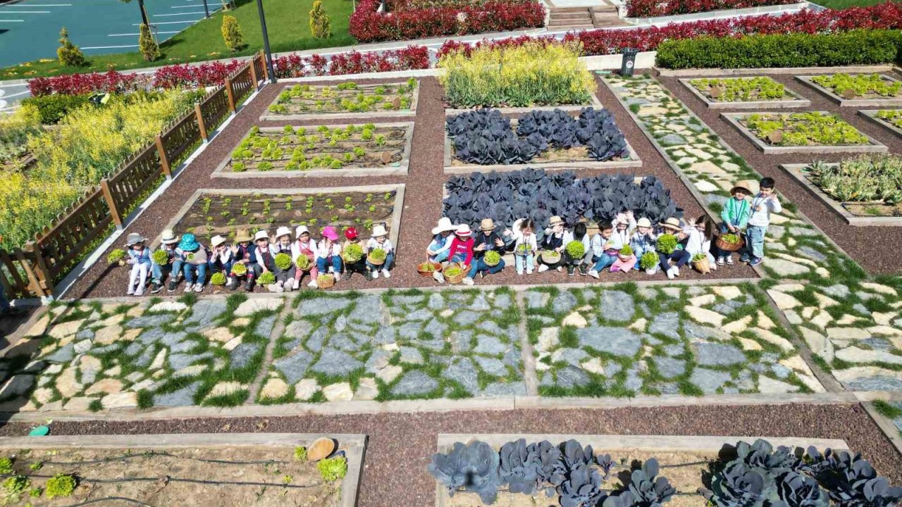 Maltepeli miniklerden ‘Çocuk Tarım Parkı’na ziyaret