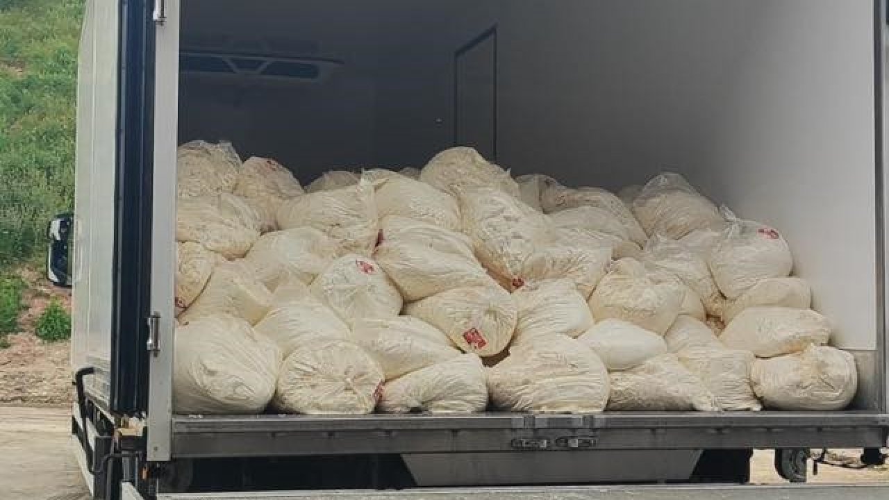 Sakarya’da son kullanma tarihi geçmiş 23 ton lor peyniri ele geçirildi