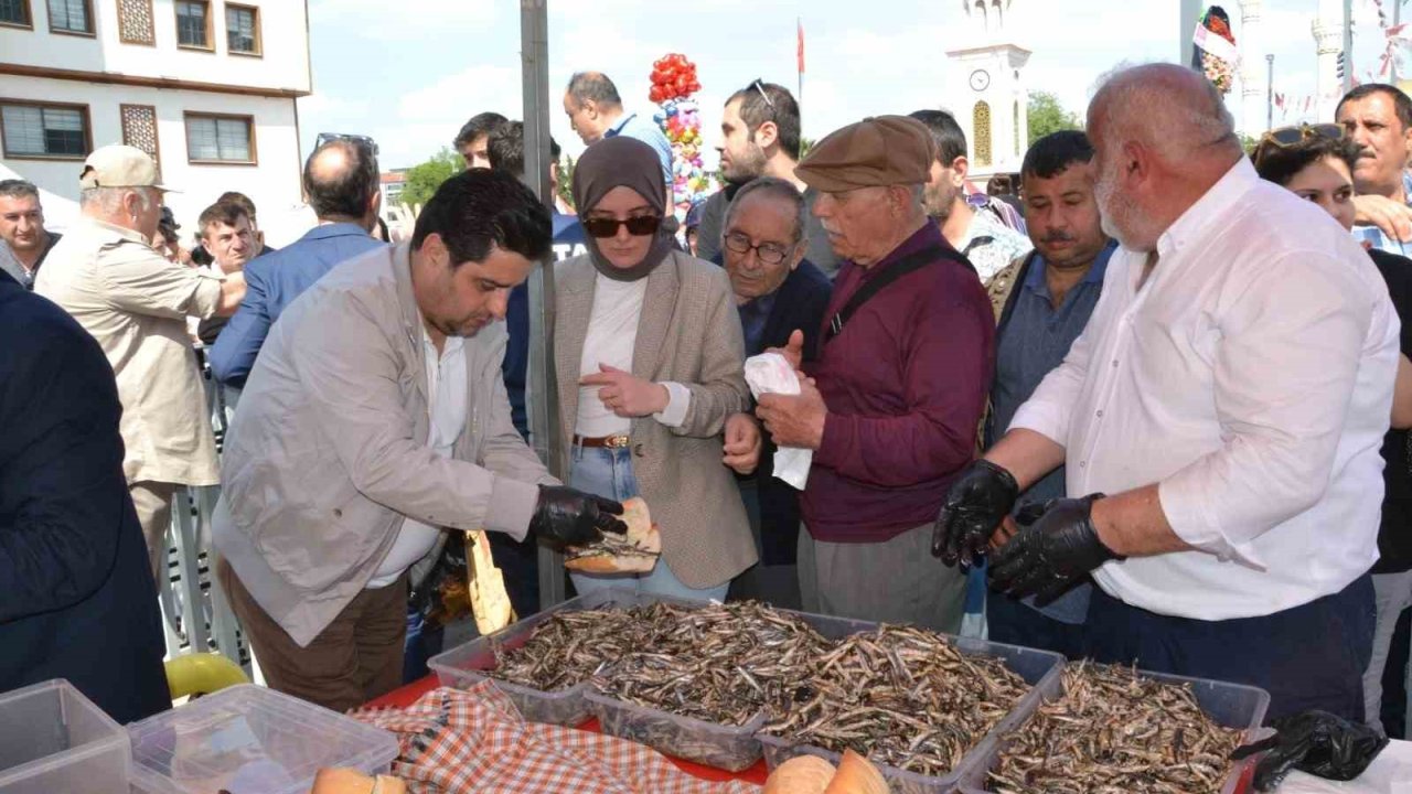 Manisa’daki festivalde 2 ton hamsi dağıtıldı