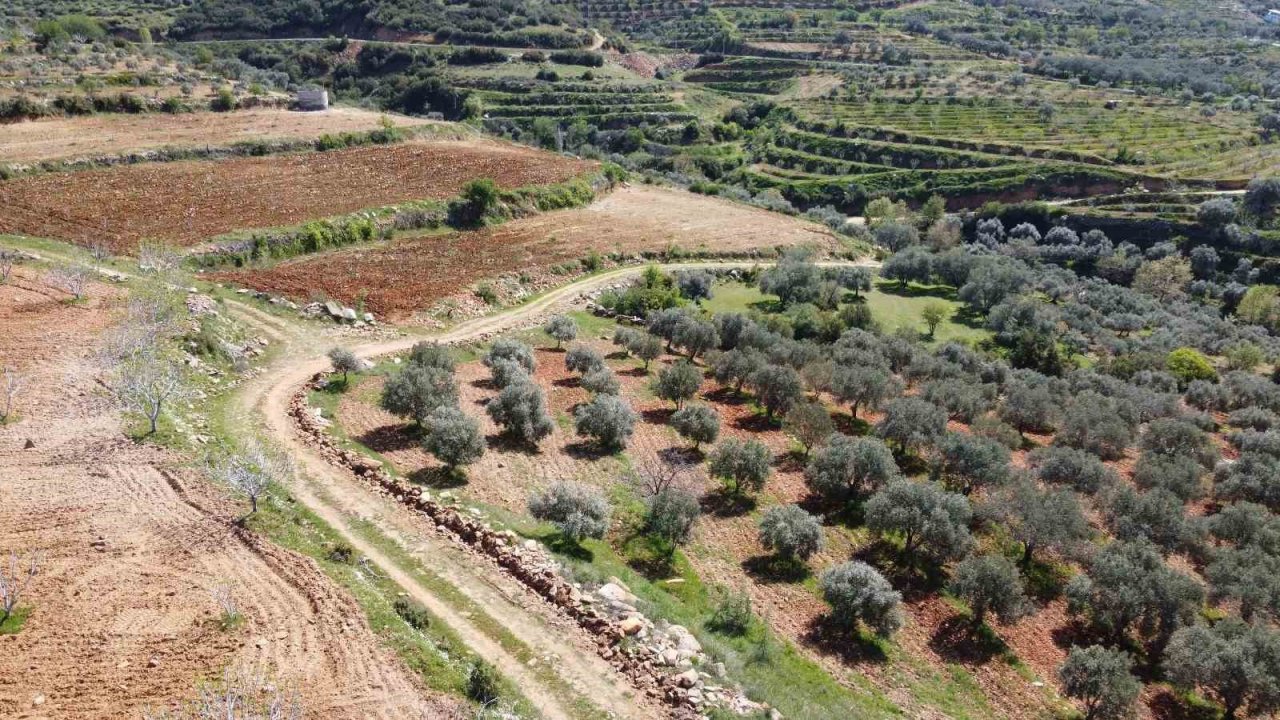 Bozdoğan’da arazi yolları bakıma alındı