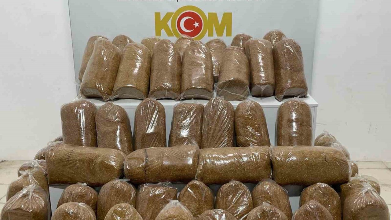 Samsun’da 240 kilo kaçak tütün ele geçirildi