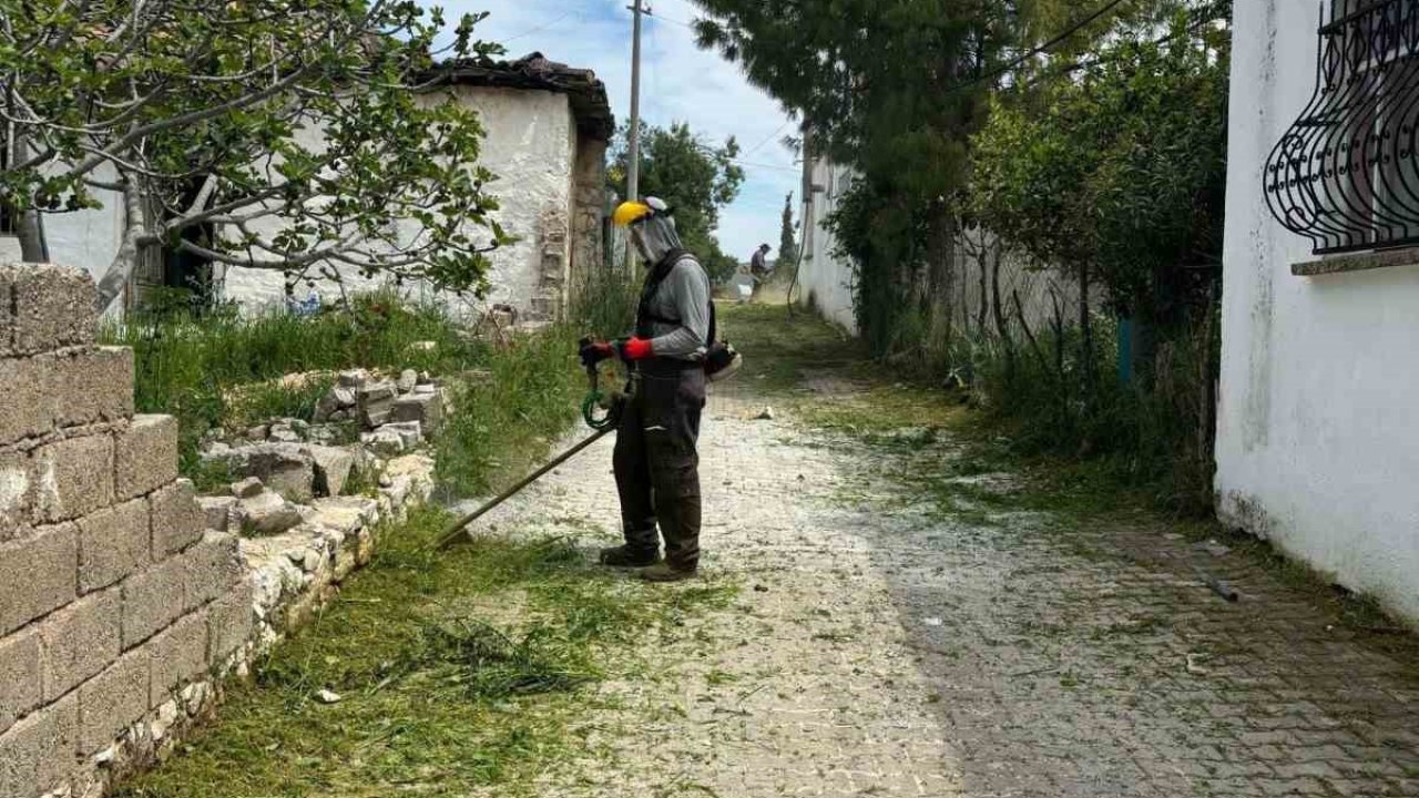 Belediye ekipleri Akköy’de otlara geçit vermiyor