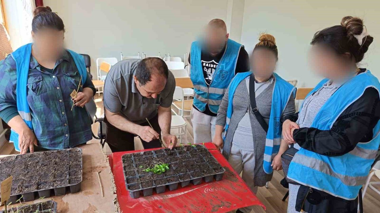 Yükümlülerin ektiği tohumlardan çıkacak ürünler ihtiyaç sahiplerine dağıtılacak