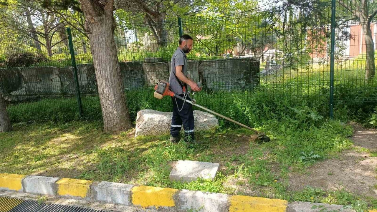 Afrodisias Antik Kenti’nde ilaçlama çalışması başlatıldı
