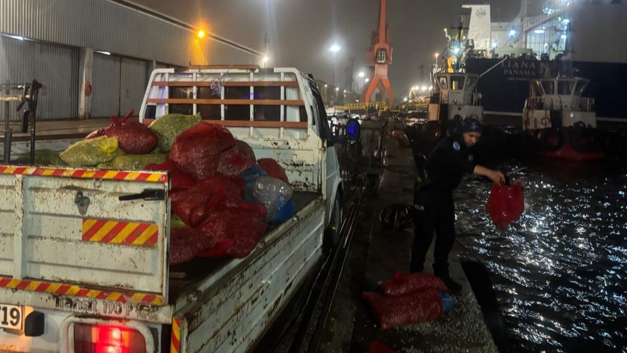 Samsun’da 2 ton kaçak midye ele geçildi