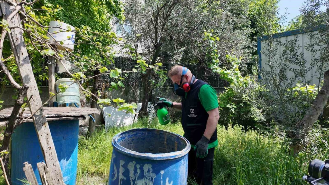 Sivrisineksiz bir yaz için ekipler sahada