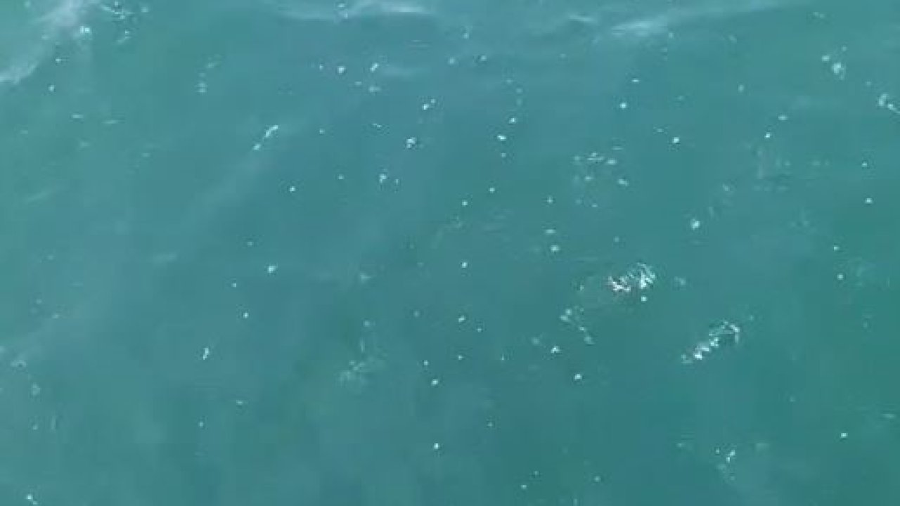 Depreme denizde yakalandılar: "Marmara açıklarında bir gürültü koptu, tekne sallandı"