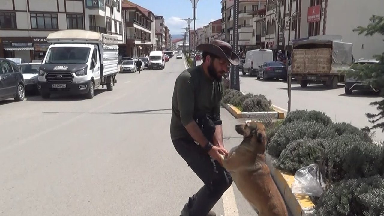 Seyyah Ömer, ‘Yoldaş’ ile 63. durağı olan Yozgat’ta fidan dikti