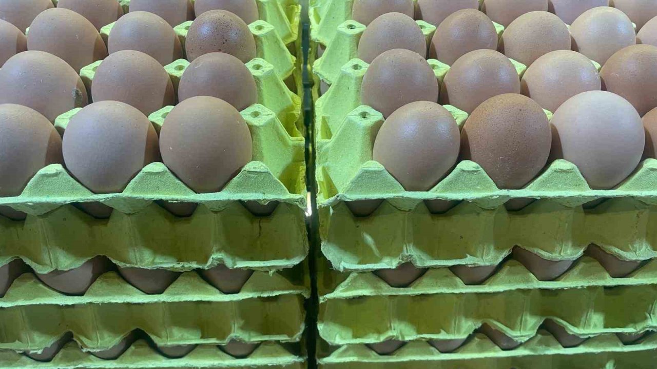 Yumurta fiyatları "mayıs çukuru" yaklaşınca düşüşe geçti