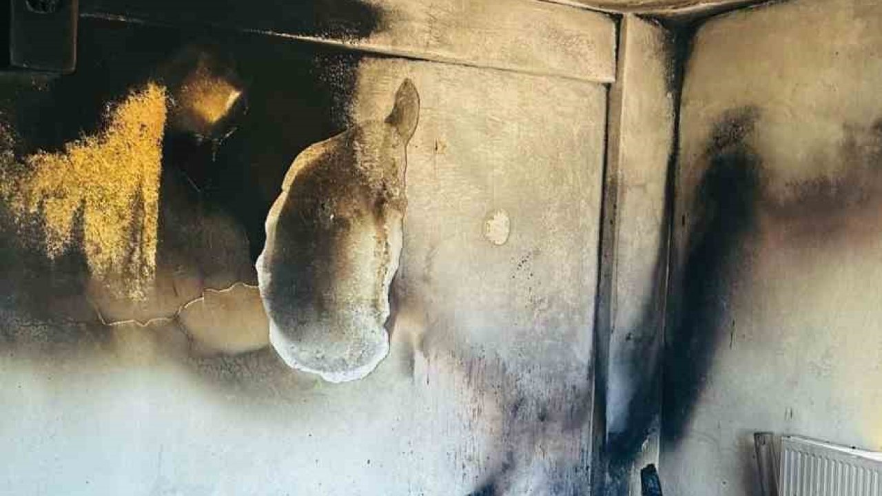 Siirt’te sobadan çıkan kıvılcımlar evi küle çevirdi