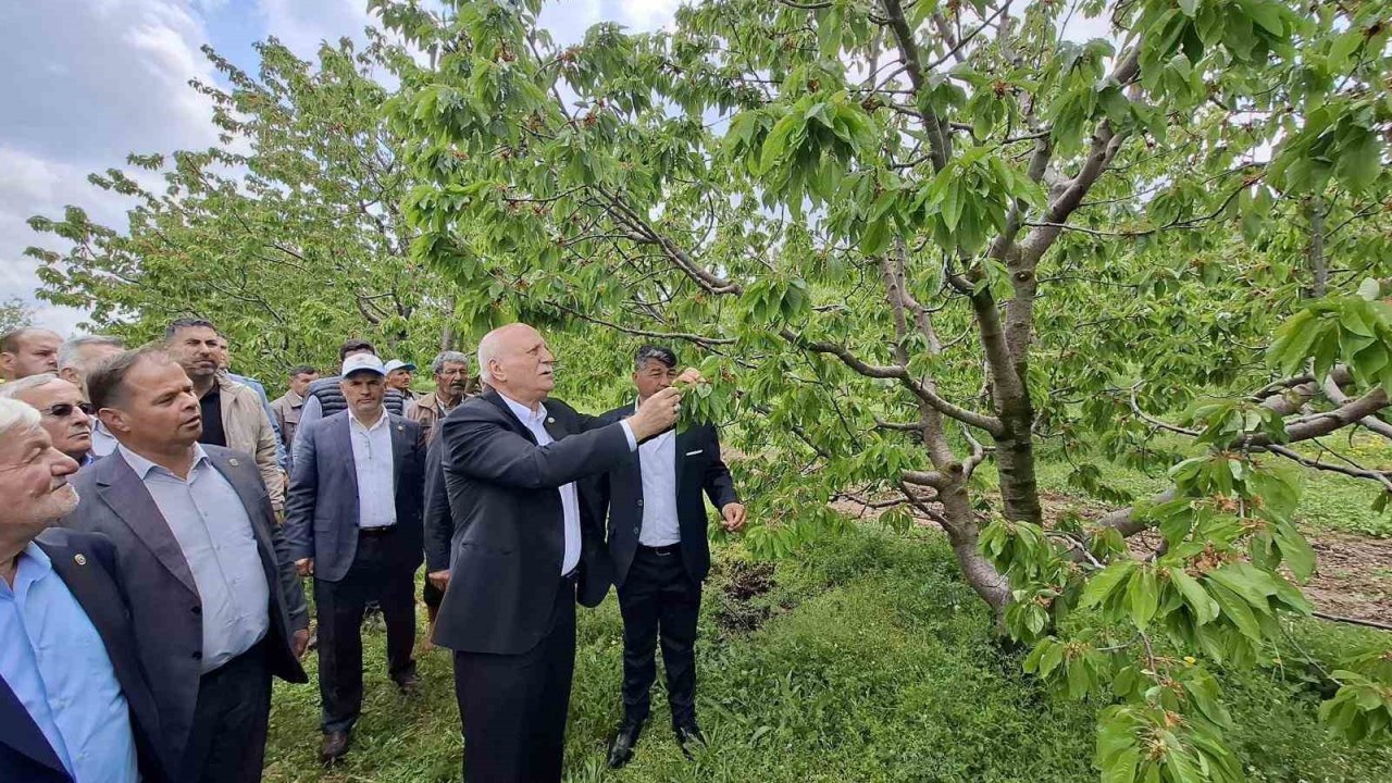 TZOB Başkanı Bayraktar, Akşehir’de zirai dondan etkilenen bahçeleri inceledi