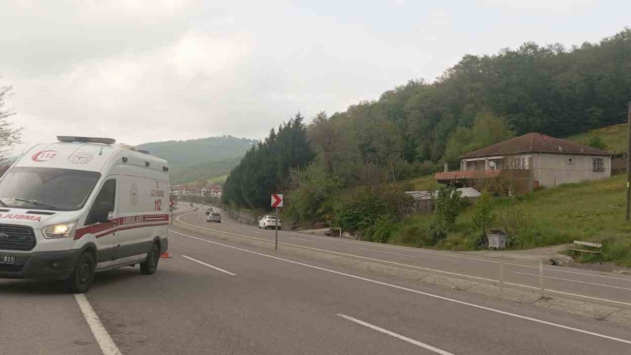 Otomobil tarlaya uçtu, dede ve iki torunu yaralandı