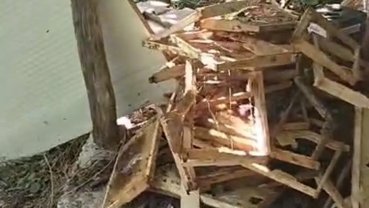 Rize’de ayı soğuk hava deposuna saldırdı