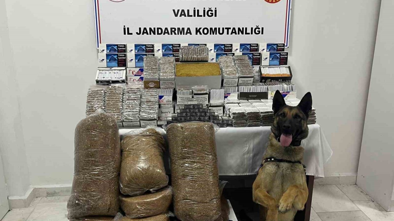 Jandarmadan kaçak makaron operasyonu