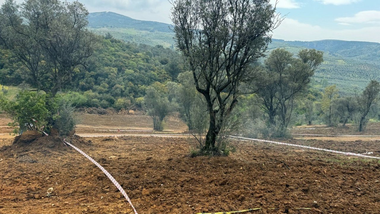 Tarım arazilerinizi koruyun, hisseli satışlara dikkat