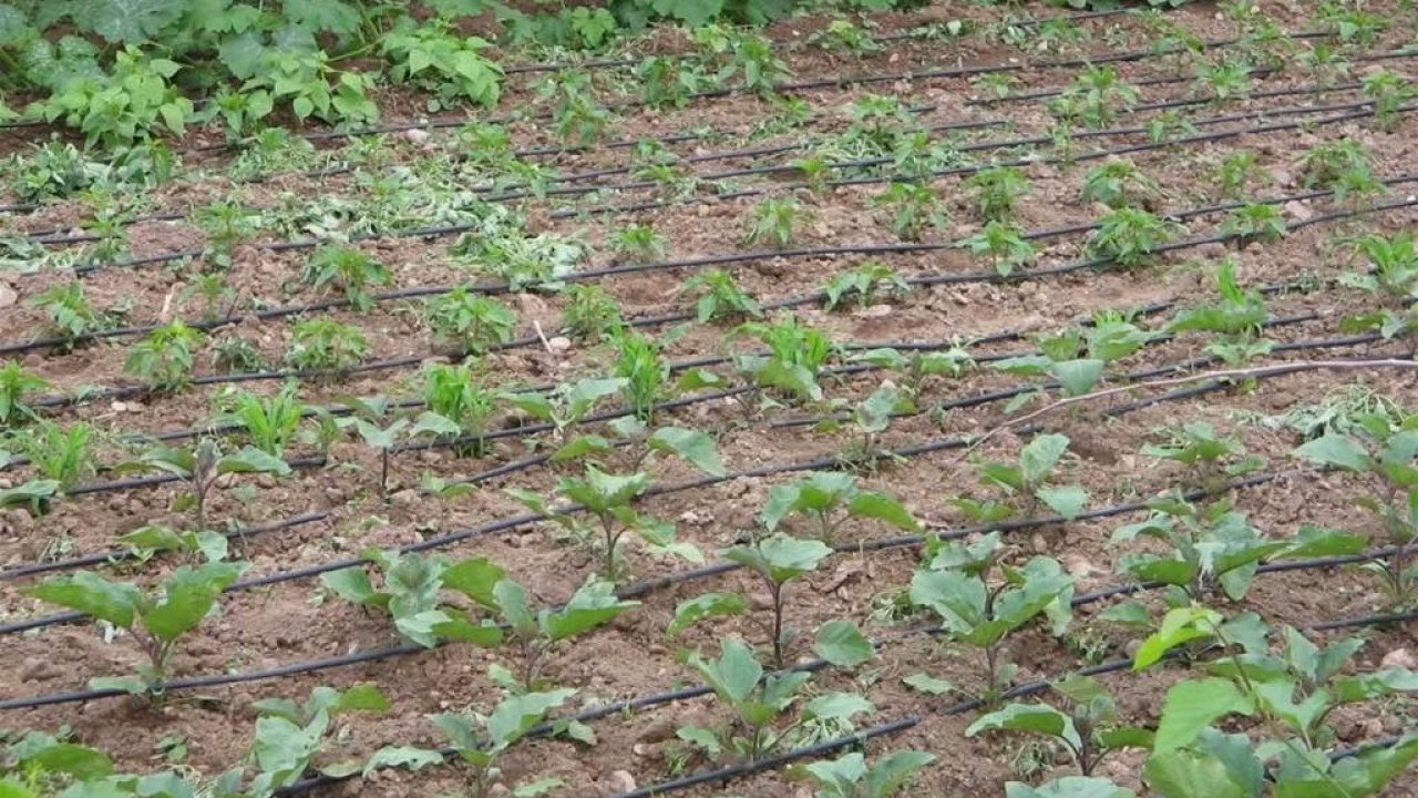 Tarımsal sulamada "kamu spotu" önerisi