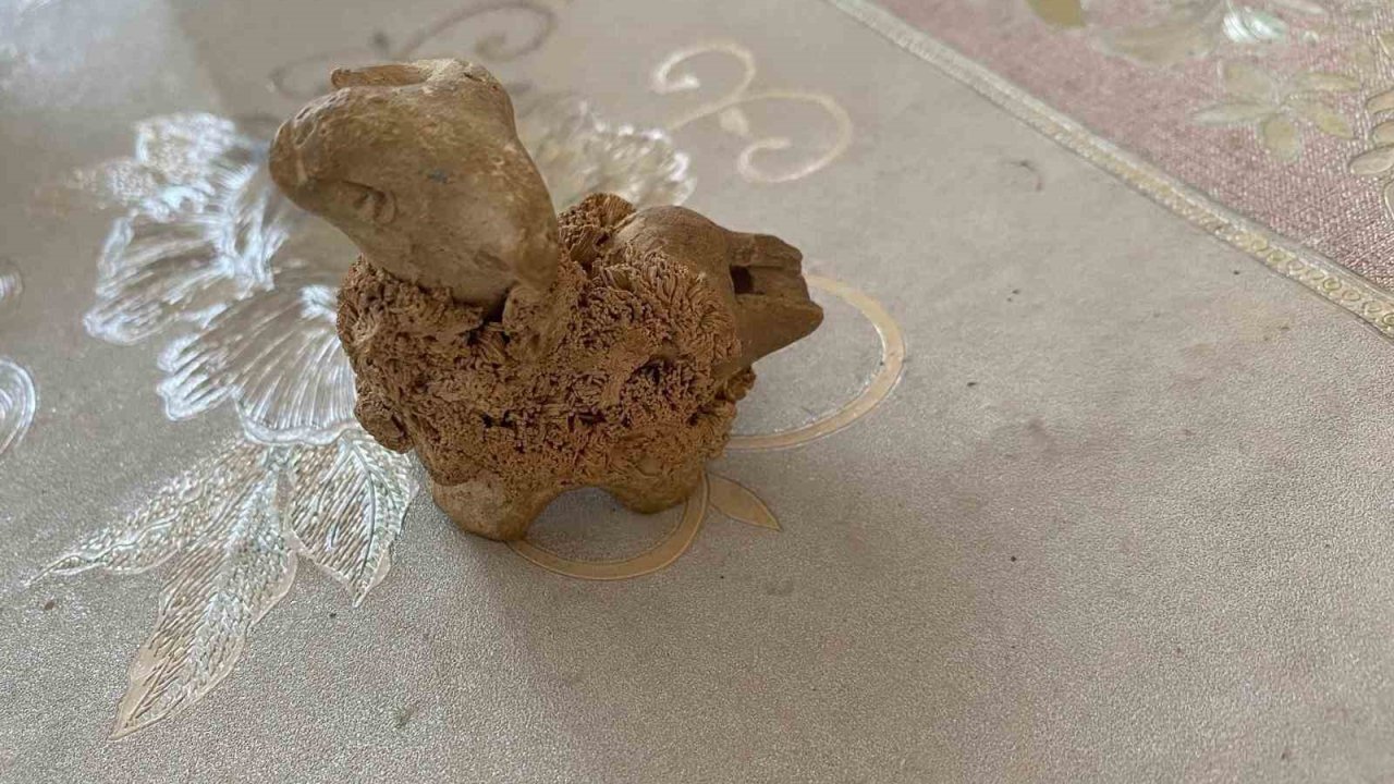 "Şahruhiye Şehri Kazı Projesi "sinde kazılar yeniden başlayacak