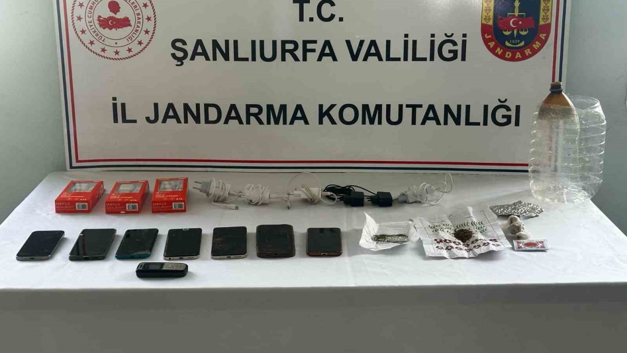 Şanlıurfa’da dolandırıcılık operasyonu: 5 tutuklama