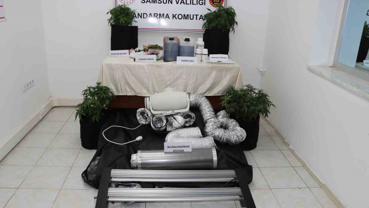 Evine iklimlendirme sistemi kurup kenevir yetiştirdi, jandarmaya yakalandı